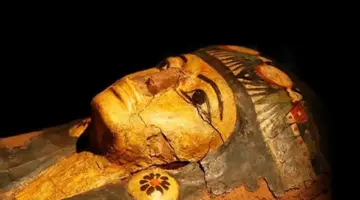 لمحبي الأسرار الأثرية.. اكتشف مواعيد زيارة متحف التحنيط بالأقصر